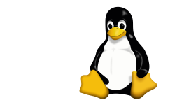 Featured image of post Linux