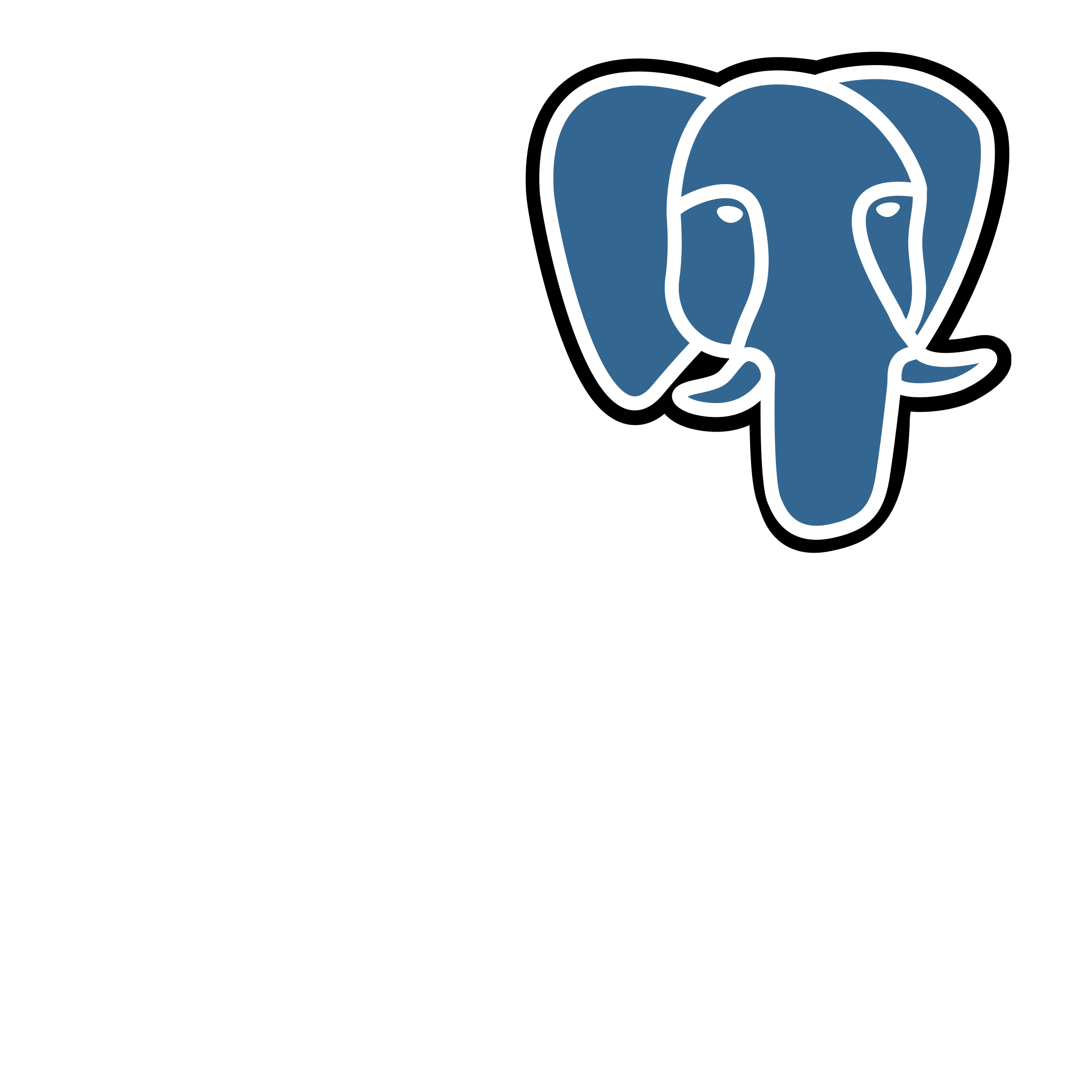 PostgreSQL Postgresql