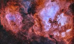 Featured image of post Linux server Raid