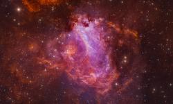 Featured image of post Mac OS XAMPP can’t open