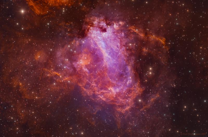 Featured image of post Mac OS XAMPP can’t open