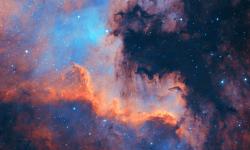 Featured image of post Nginx all http to https