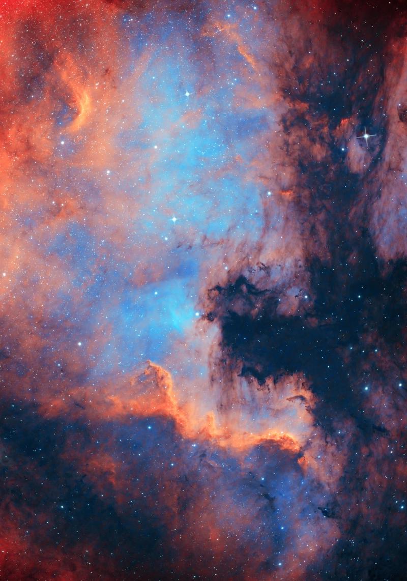 Featured image of post Nginx all http to https