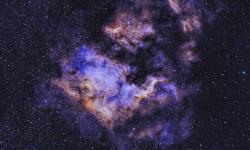 Featured image of post Nvidia NX Make Darknet