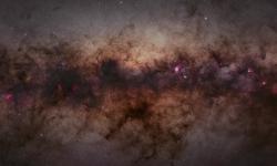 Featured image of post Video to Gif use FFmpeg