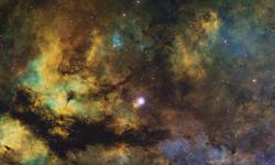 Featured image of post Windows Nginx Command